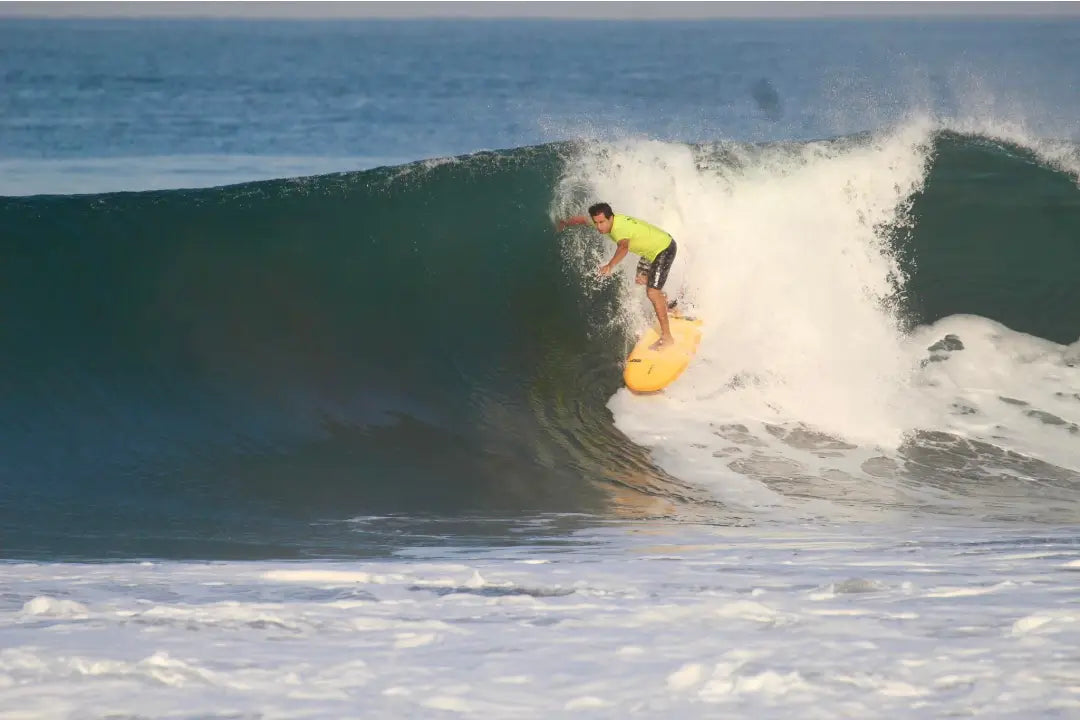 6’6” NSP Tinder D8 - Protech - Green Tint - Futures (3 fin setup)