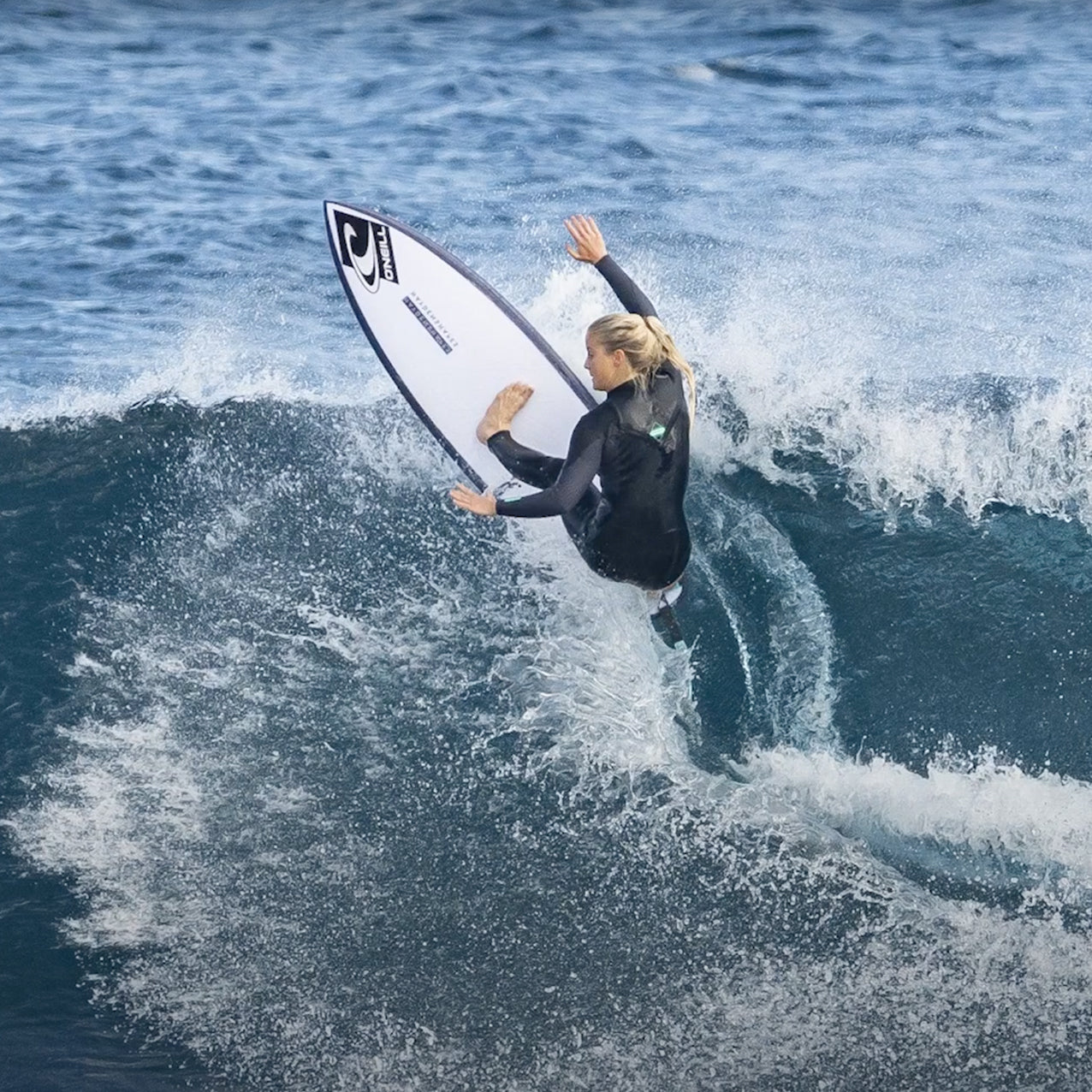 Haydenshapes - Cohort l - Future Flex - Clear - Futures (3 fin setup)