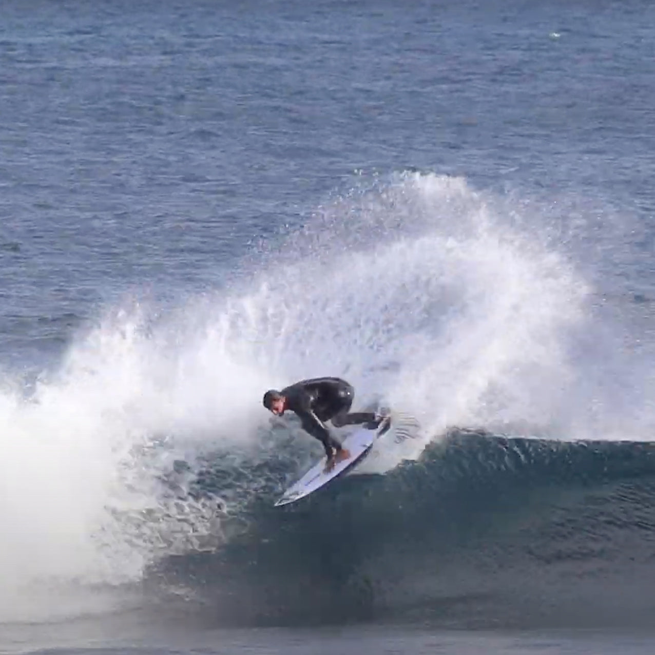 Haydenshapes - Cohort l - Future Flex - Clear - Futures (3 fin setup)