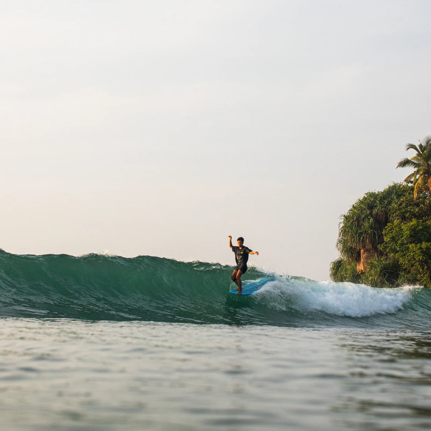 NSP Longboard - Elements - White - Futures 2+1